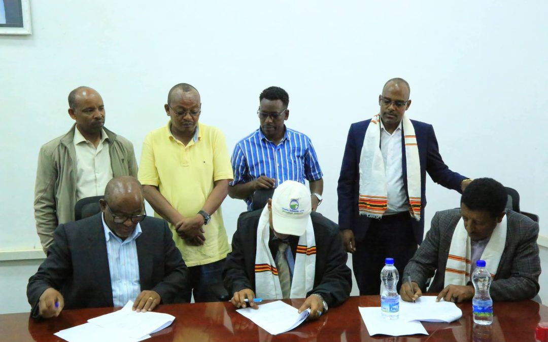 Greener Ethiopia and Wolaita Sodo University Strengthen Partnership for Environmental Sustainability and Innovation