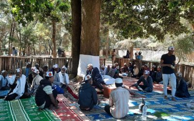 Greener Ethiopia Supports the Formation of Qatbare Farmers Cooperative and Strengthens Community Partnership