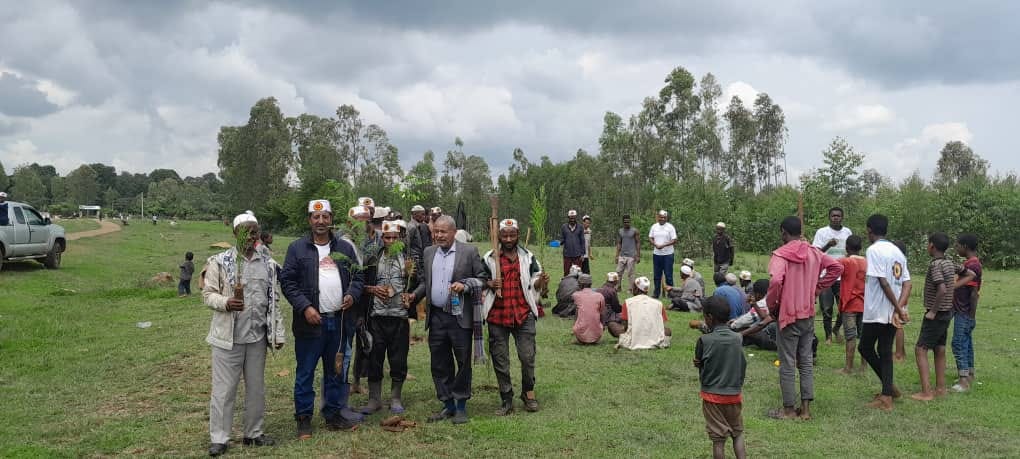 Community Tree Planting Initiative Conducted in Kebena Woreda